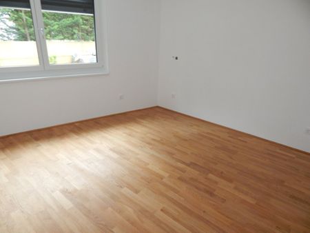 "Provisionsfrei" Traumhafte Terrassenohnung im 1.Stock in Top-Lage - Tiefgarage möglich - Photo 4