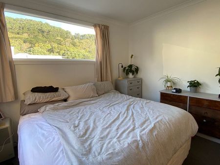Beautiful 1 bedroom apartment in Mt VIC - Photo 5
