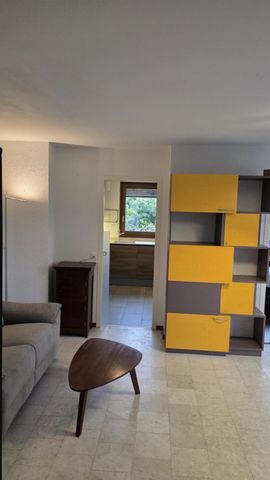 Magnifique 2 pièce meublé avec terrasse de 57m2 à deux min du lac/St-Sulpice VD - Photo 3