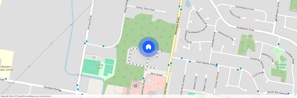 25B Nut Bush Drive, NSW 2318, Medowie