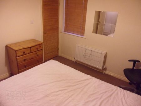 Unit 2, 42 Ulsterville Avenue, Botanic, BT97AQ, Belfast - Photo 3