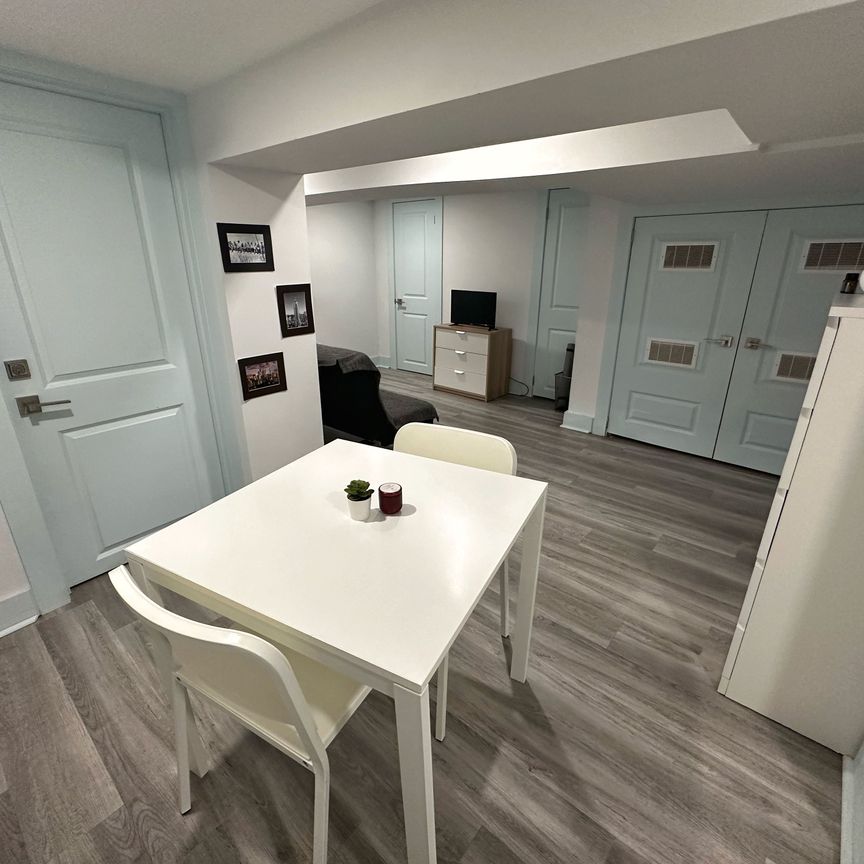 For Lease - 48 Euclid Avenue Unit# Lower, Toronto, Ontario - Photo 1