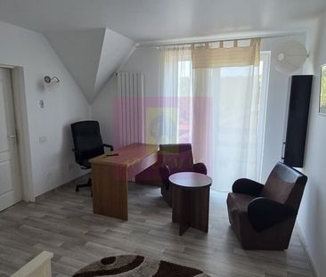 Vila cu 5 camere de inchiriat in Campina - Photo 2