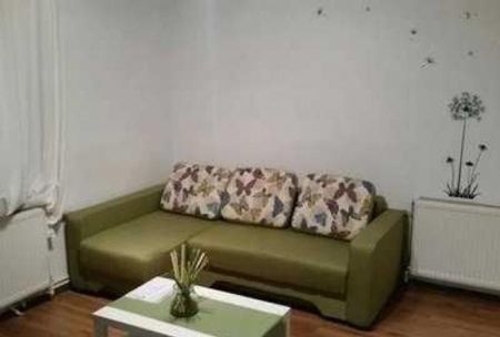 Baba novac dristor strada prieteniei - Fotografie 2