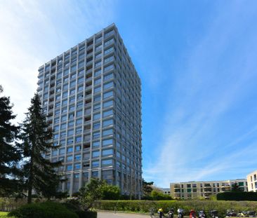 Un studio lumineux à Onex - Photo 1