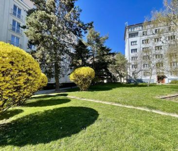 Pronájem rekonstruovaného bytu, P10 Strašnice, ul. Sečská, OV, 2+1,... - Photo 2