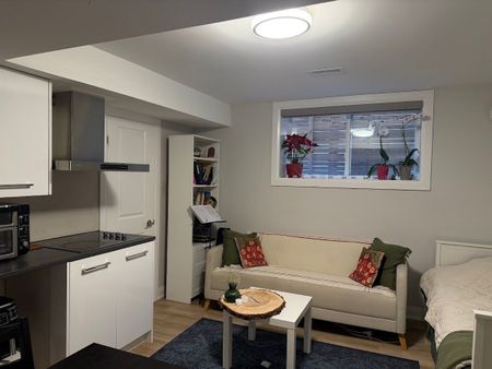 For Lease - 43 Birch Avenue Unit# Bsmt C, Richmond Hill, Ontario - Photo 2