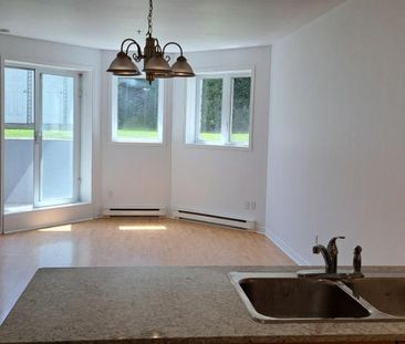 4 ½ RENOVER, Saint-Eustache avec clientèle établi de 55+ ans - Photo 4