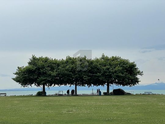 RENOVIERT MIT MODERNER KÜCHE - Photo 1