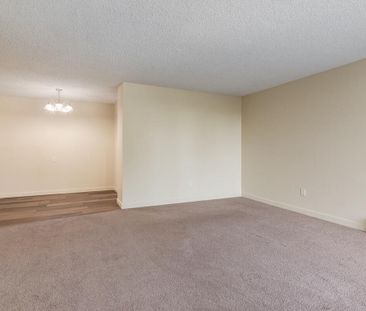 Classic Suite - 1 Bedroom - Photo 1