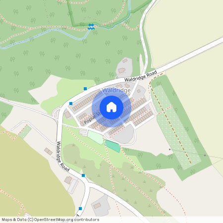 Pine Street, Chester Le Street, DH2 3SF