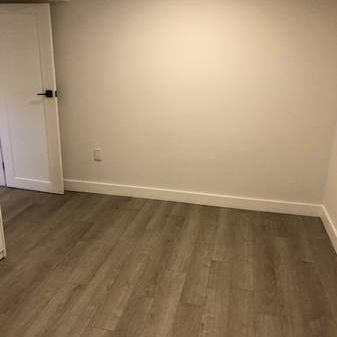 1 Bdrm Basement Apt - Fully Renovated - Available January - Photo 4