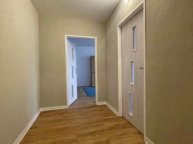 Pokój, ul. Grunwaldzka - Zdjęcie 2