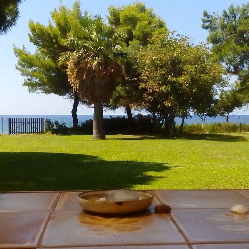 Μονοκατοικία για ενοικίαση Νέα Σκιώνη (Παλλήνη) - Photo 1