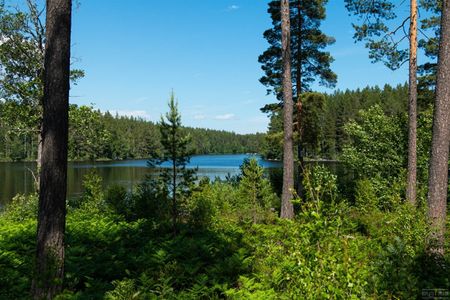 Skolgatan 11 A - Foto 4