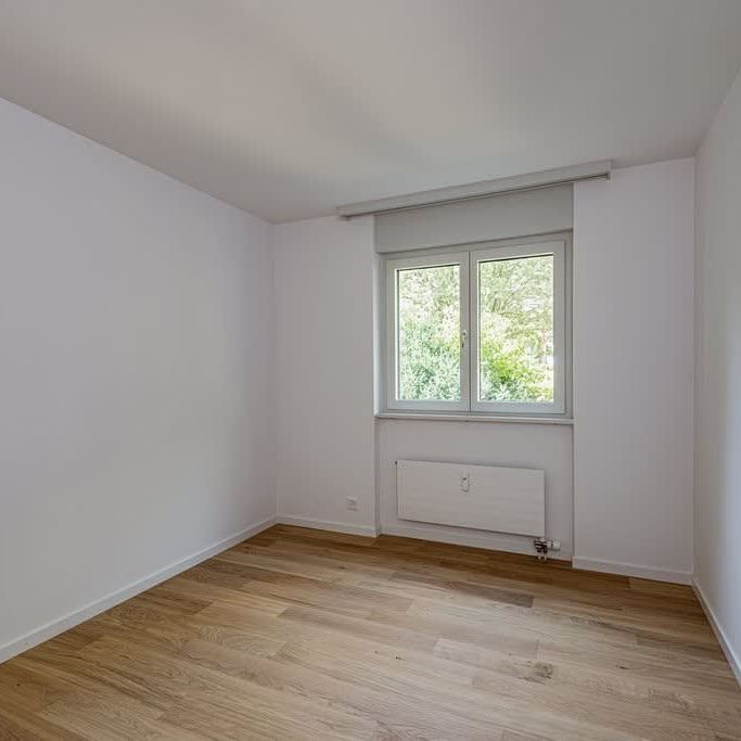 3.5 Zimmer, 73 m², 1. Stock - Photo 1