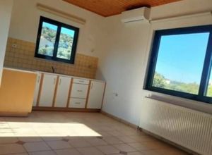 Studio/Γκαρσονιέρα για ενοικίαση - Ρίο, - Photo 2