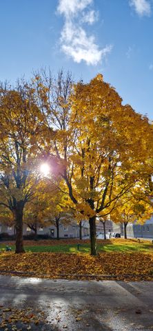 Måns Bryntessonsgatan, Göteborg - Photo 3