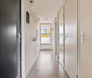 Voorjaarstraat - Foto 3