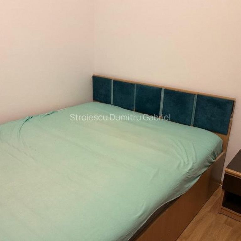 Brancoveanu nitu vasile izvorul rece - Fotografie 1