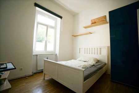 Geidorf - 3-Zimmer - 55m² - TOP-Lage - perfekte WG-Wohnung - Ab Jänner 2025 - Foto 4