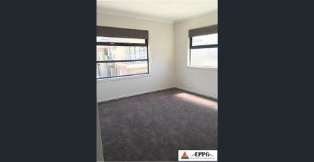 BEST IN THE LOT, & WALK TO EVERYTHING - Photo 4