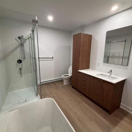 3 CH - 1 SDB - Sherbrooke - $1,440 /mo - Photo 3