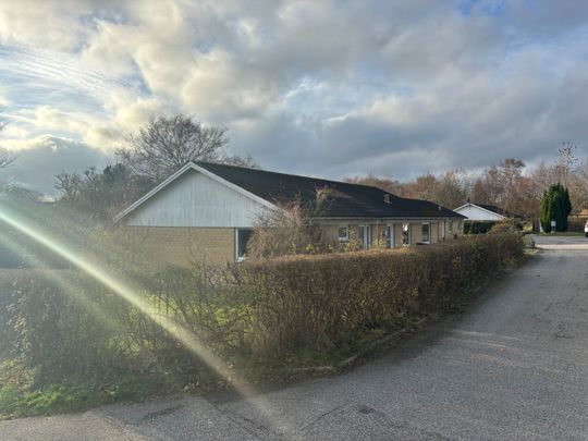 Et plans villa med 4 værelser udlejes - Photo 1