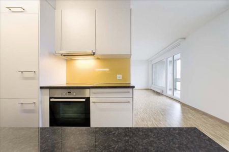 3.5 Zimmer, 77 m², 13. Stock - Photo 4