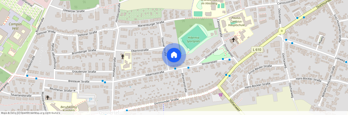 Thorner Str. 8, 45665, Recklinghausen Ot Ost