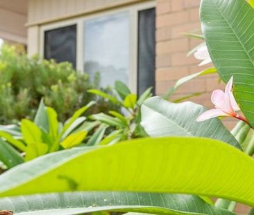 Coolbellup Classic! - Photo 6