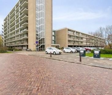 Apollolaan 0ong, 2324 BR Leiden, Nederland - Foto 3