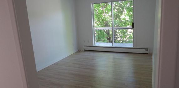 4 1/2 à louer 22-2 rue d'Orléans Beauport, Qc - Photo 2