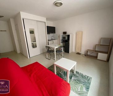 Location Appartement 1 pièce 22m² GRENOBLE 38000 - Photo 2