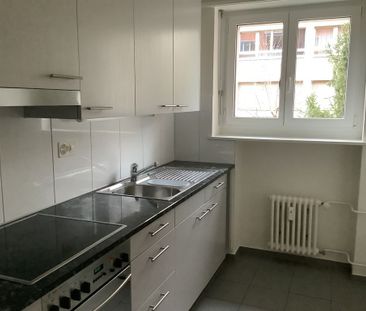 2 Zimmer, 53 m², 1. Stock - Foto 1