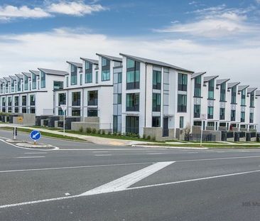 305 Murphys Road Flat Bush - Photo 4