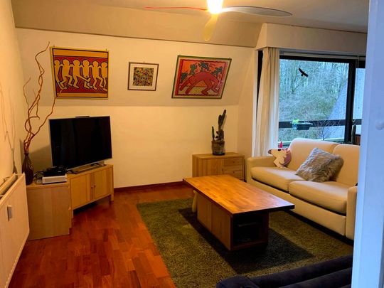 Chemin des Deux Maisons, 1200, Woluwe-Saint-Lambert - Foto 1