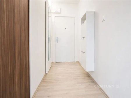 Pronájem útulného bytu 1+KK s balkonem v Žabovřeskách - Fotografie 4