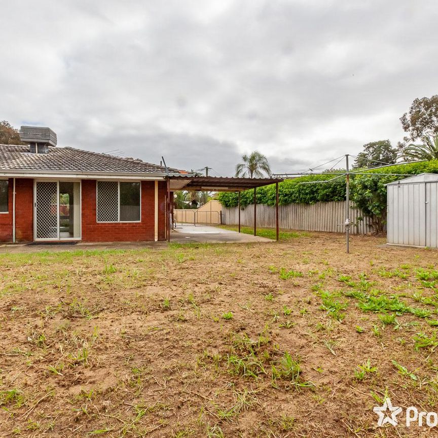 25 Redross Court, Armadale WA 6112 - Photo 1