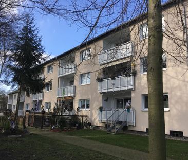 3-Zimmer-Wohnung in Gelsenkirchen Hassel - Photo 6