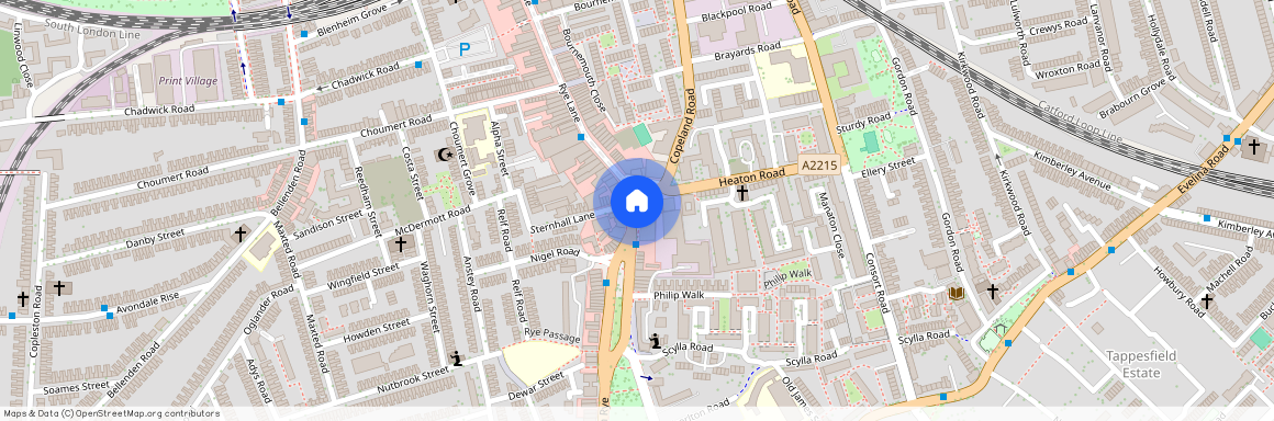 Rye Lane, London, SE15 4UR