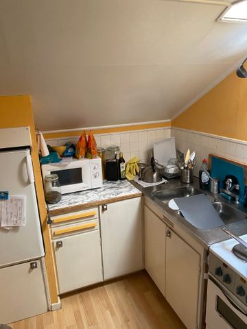 Gyllenhakes väg, Trollhättan - Foto 3