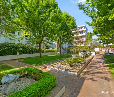 71/17 Darling Street, Barton ACT 2600 - Apartment For Rent | Domain - Photo 3