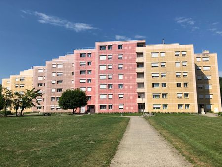 2.5 Zimmer, 65 m², 2. Stock - Foto 2