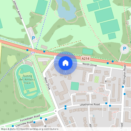 North Drive, SW16 1RL, London