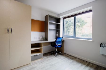 Apartment Premium - Photo 2