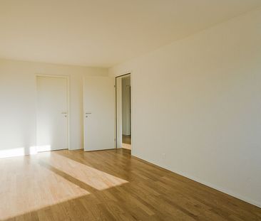 3.5 Zimmer-Wohnung in Tägerwilen - Photo 3