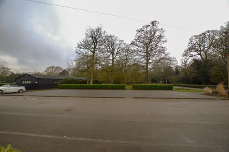 Land to rent - Photo 5