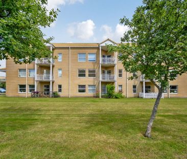 Pæregrenen 31, 1. th., 5220 Odense SØ - Foto 4