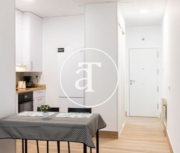 Monthly rental studio with 1 bedroom and 1 bathroom in Latina with ... - Photo 6